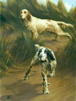 托馬斯 佈林尅斯 English Setters in Marshland